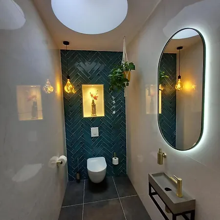 Luxurious House Close To The Center Of Amsterdam