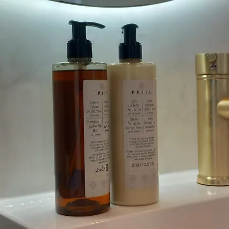 Luxurious House Close To The Center Of Amsterdam