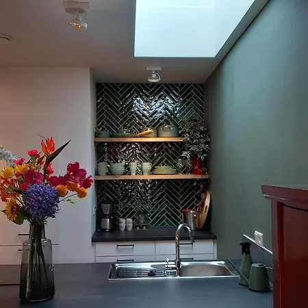 Luxurious House Close To The Center Of Amsterdam